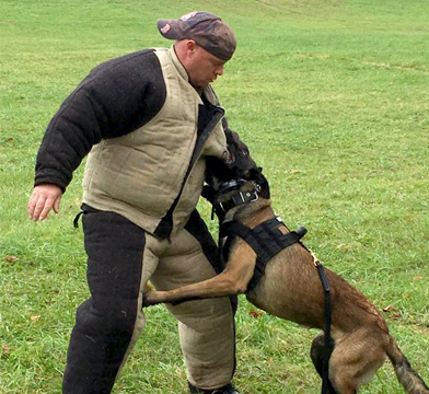 K9 Guardian dog training image