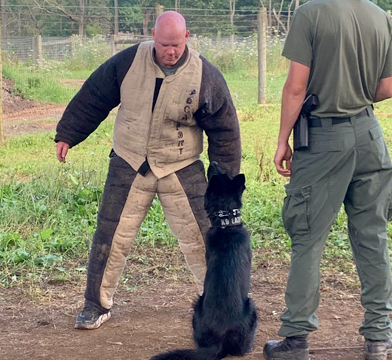 K9 Guardian dog training image