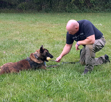 K9 Guardian dog training image