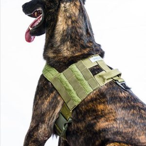 Roca Patrol Harness